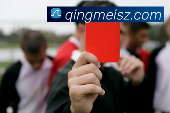 华体育会hth发展历程